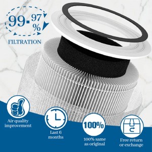 H13 Core 300 True HEPA Replacement Air Purifie Filters for LEVOIT Core 300s
